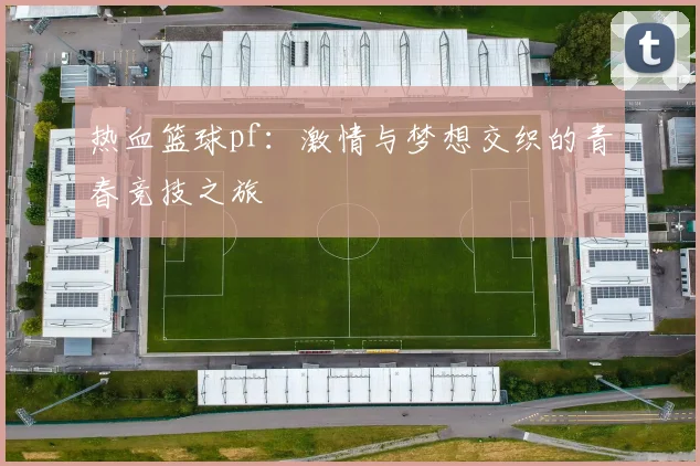 热血篮球pf：激情与梦想交织的青春竞技之旅